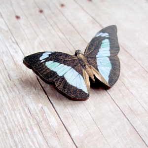 Broche Borboleta Azul da Floresta