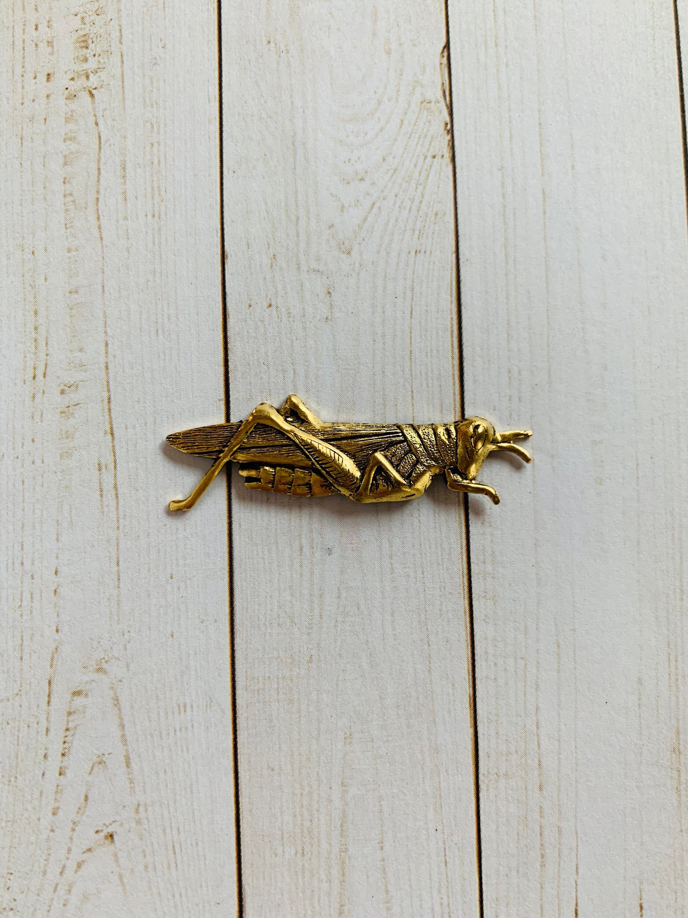 Brooch Insect Pin Garden Jewelry Nature Etsy
