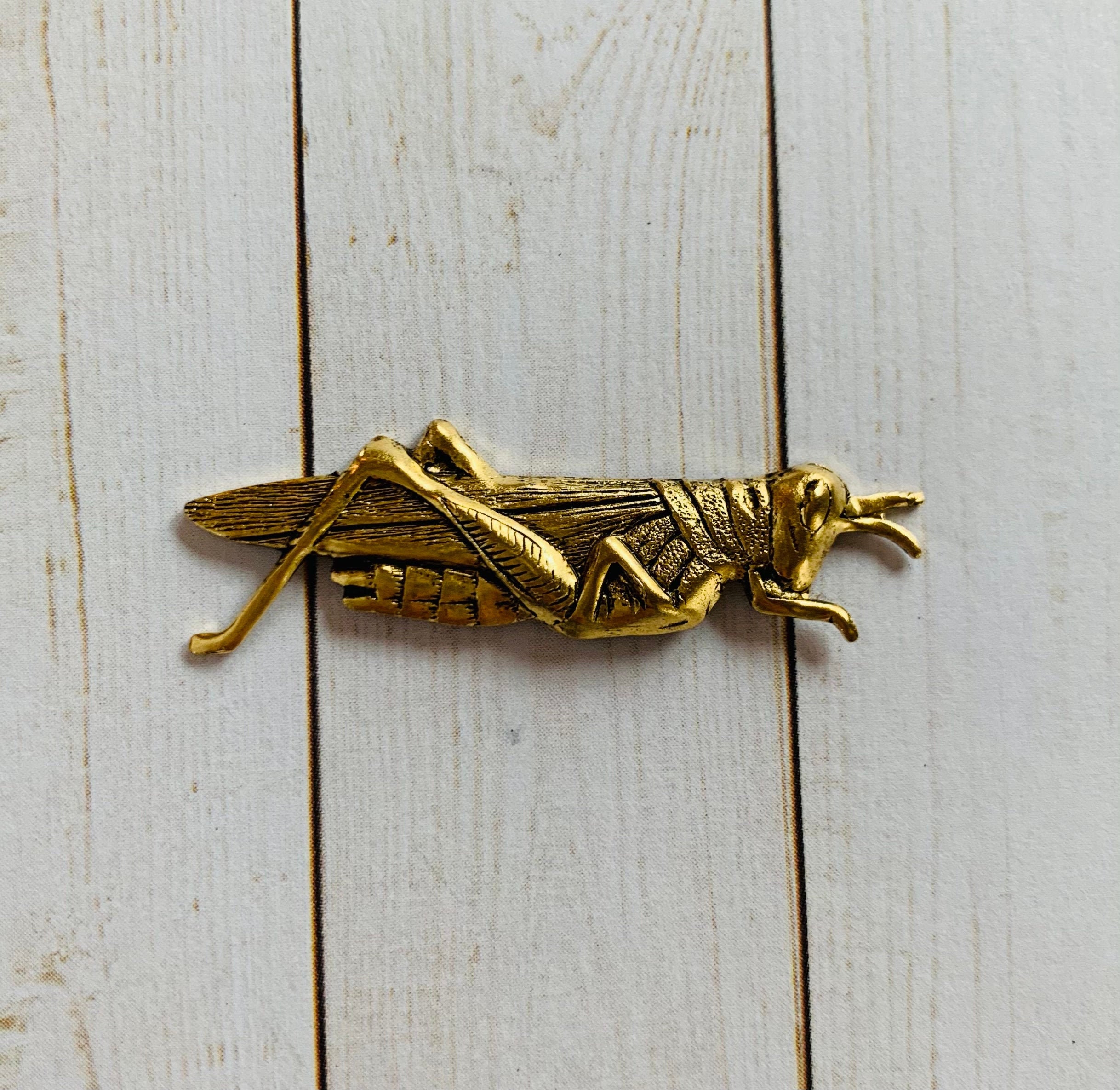 Grasshopper Brooch Insect Pin Garden Jewelry Nature Etsy Australia
