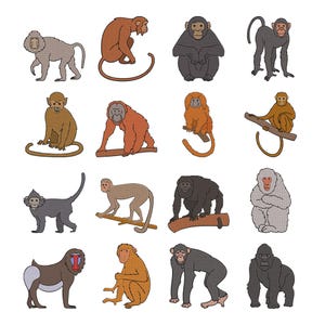 May include: A collection of sixteen distinct primate illustrations arranged in a four-by-four grid. The set features various monkeys and apes in different poses, rendered in shades of brown, grey, black, and orange with a consistent dotted texture.