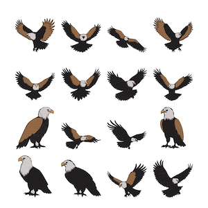 Puede incluir: Una colección de dieciséis ilustraciones de águilas calvas en varias posturas, incluyendo águilas con las alas extendidas en vuelo, en picado y de pie, todas con cabezas blancas, picos amarillos y plumaje de colores marrón y negro.
