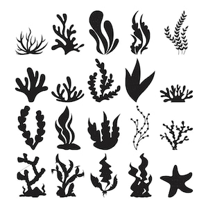 May include: A collection of black silhouette illustrations of various types of seaweed and aquatic plants. The designs include branching coral-like shapes, flowing kelp, and a starfish, all against a white background.