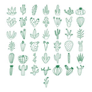 Puede incluir: Ilustración de numerosos cactus verdes dibujados a mano sobre un fondo blanco. Los diferentes cactus se representan en un estilo sencillo, de línea, mostrando diferentes formas y tamaños, perfecto para diseños temáticos del desierto.