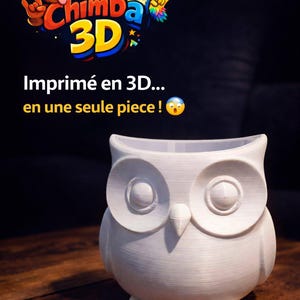 Pode incluir: Um vaso em forma de coruja, impresso em 3D, na cor branca. A coruja tem olhos grandes e redondos, um bico pequeno e uma superfície texturizada. O texto "Que Chimba 3D" e "Imprimé en 3D... en une seule piece!"