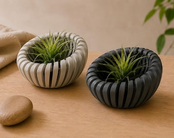 Sculptural Air Plant Holder, Minimalist Desk Planter for Modern Home Decor