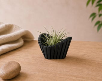 Sculptural Air Plant Holder, Minimalist Desk Planter for Modern Home Decor