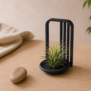 Sculptural Air Plant Holder, Minimalist Desk Planter for Modern Home Decor