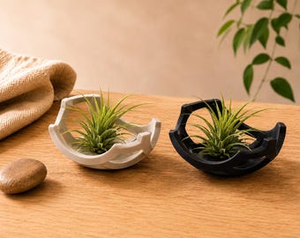Sculptural Air Plant Holder, Minimalist Desk Planter for Modern Home Decor
