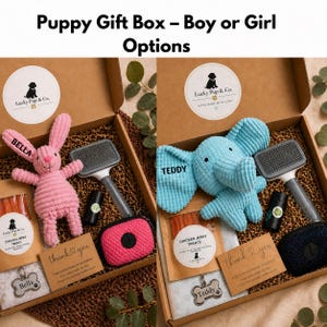 May include: Two open cardboard gift boxes containing pet supplies. Each box includes a plush animal toy, a pet grooming brush, a roll of waste bags, a waste bag dispenser, a bag of chicken jerky treats, a personalized metal tag, and a thank you note.