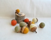 Felted Wool Acorns, Real Cap Fall Thanksgiving Decor, Set of 10