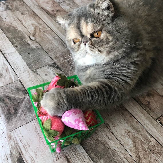 Strawberry Catnip Cat Toys
