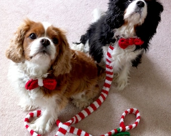 PATTERN - Knit Dog Leash and Bow Tie