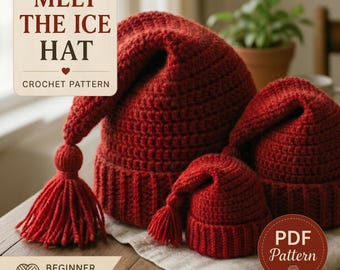 Facile modello berretto all'uncinetto PDF, modello cappello per principianti, berretto con nappa a punta, cappello invernale Nisselue, regalo fai da te