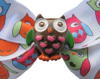 Bright Colored Owl Hairbow