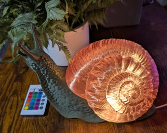 Lámpara de caracol: luz nocturna impresa en 3D con color personalizado.