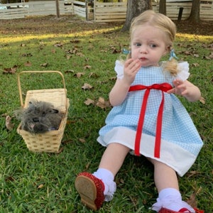 Dorothy-Kleid, Zauberer von Oz, Kleinkind bis kleines Mädchen, blaues Gingham-Kleid, Halloween-Kostüm, blaues und weißes Kleid, Dorothy-Kleid für kleine Mädchen