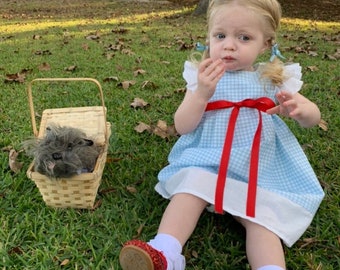 Dorothy Dress, Wizard of Oz, Toddler to Little Girl, Blue Gingham Dress, Halloween Costume, Blue and White Dress, Little Girl Dorothy Dress