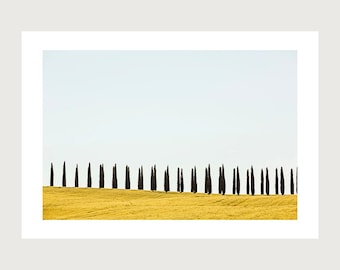 Tuscany Italy Photography Print,  home decor, Italian wall art, CYPRESS TREES