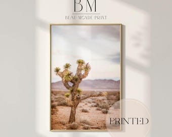 Joshua Tree Desert Photography Print – Desert Wall Art, Home Decor