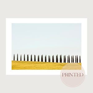 Tuscany Italy Photography Print,  home decor, Italian wall art, CYPRESS TREES