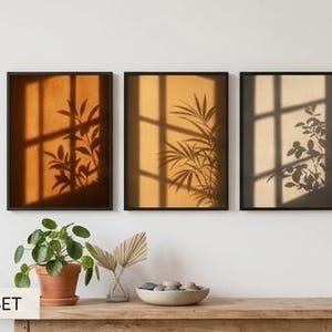 May include: Three framed art prints with black frames. Each print displays a different coloured background with shadows of plants and window frames. The text "3-PACK SET" is at the bottom.
