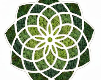 Decoración de pared con musgo y mandala geométrico.