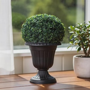 May include: A spherical green topiary plant sits inside a black pedestal urn planter. The planter features a fluted design with a wide rim and a circular base. The topiary has dense, small leaves that form a rounded shape atop the dark container.
