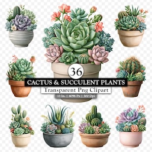 Könnte beinhalten: Eine Sammlung von 36 Kakteen und Sukkulenten in verschiedenen Töpfen mit grünem, rosafarbenem und violettem Blattwerk. Das mittlere Bild zeigt ein großes Topfarrangement mit dem Text 36 CACTUS & SUCCULENT PLANTS Transparent Png Clipart.