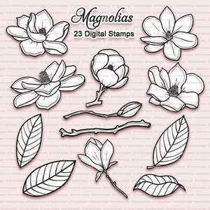 Magnolia Digital Stamp Set, 23 Black Line Art png files, Flowers, Clipart, Colouring Files, Flower Digi Stamps, Magnolia Digistamps image 1