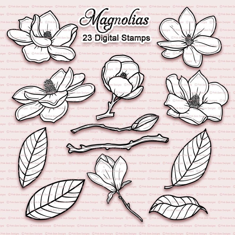 Magnolia Digital Stamp Set, 23 Black Line Art png files, Flowers, Clipart, Colouring Files, Flower Digi Stamps, Magnolia Digistamps image 1