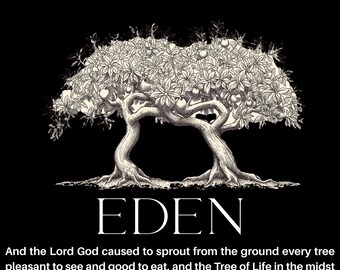 Powerful Torah(Bible) Verse Shirt, Faith frequency T-Shirt Men/Women.