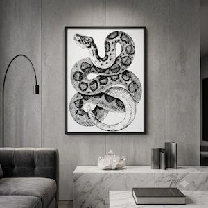 Op de afbeelding: Een zwart-witte inktillustratie van een opgerolde slang met gedetailleerde schubben en een patroon op het lichaam, gepresenteerd in een dunne zwarte rechthoekige lijst. Het kunstwerk heeft een contrastrijk ontwerp op een witte achtergrond.