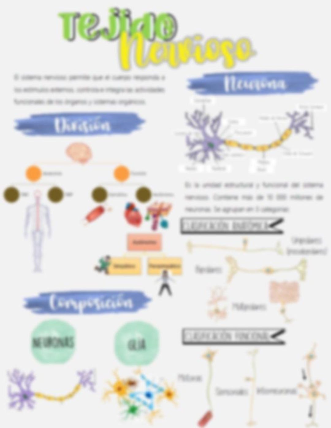 Histology Guide: Nervous Tissue | Summary of Neurons, Glia, and ...