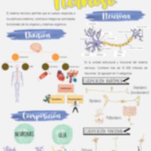May include: A diagram of the nervous system with the title "Tejido Nervioso" in green and yellow. The diagram includes illustrations of neurons, the brain, and other related anatomical structures, with Spanish text labels.