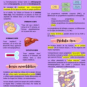Histology Guide: Myeloid Tissue and Hematopoiesis | Complete Summary of Blood Cells