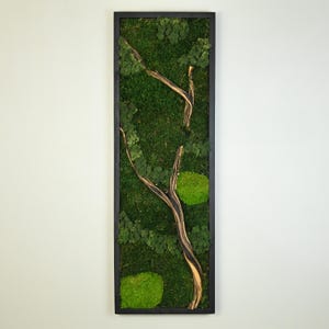 Vertical Preserved Moss And Driftwood Wall Art, Unique Apartment Decor, Gifts For Sister image 11