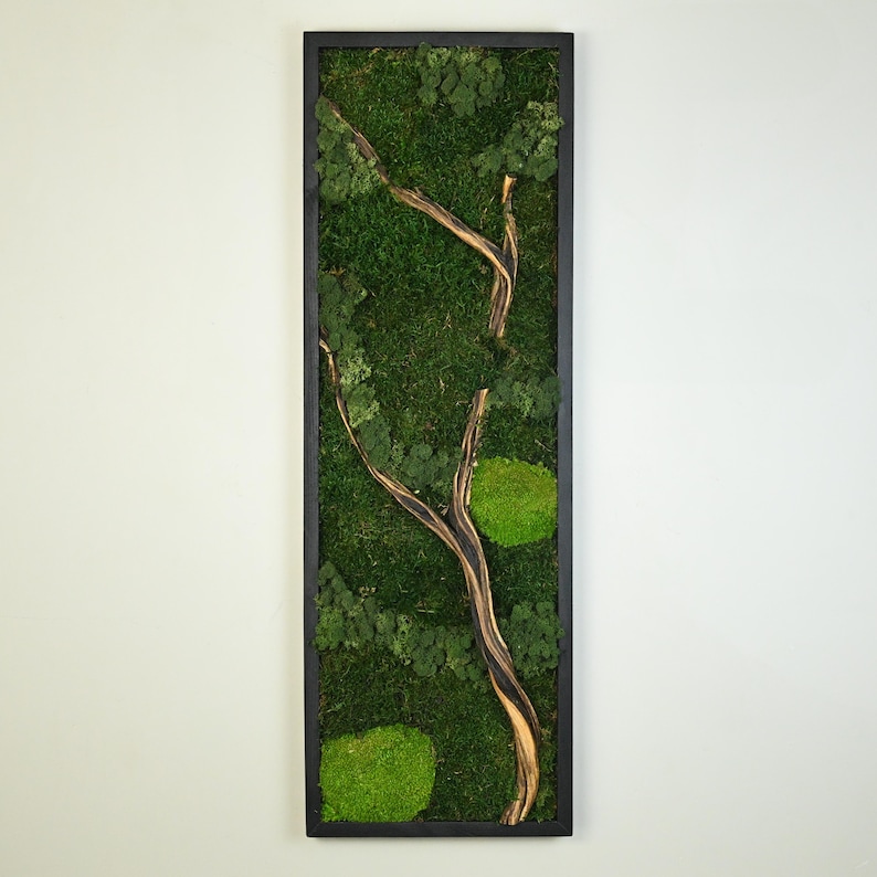 Vertical Preserved Moss And Driftwood Wall Art, Unique Apartment Decor, Gifts For Sister image 11