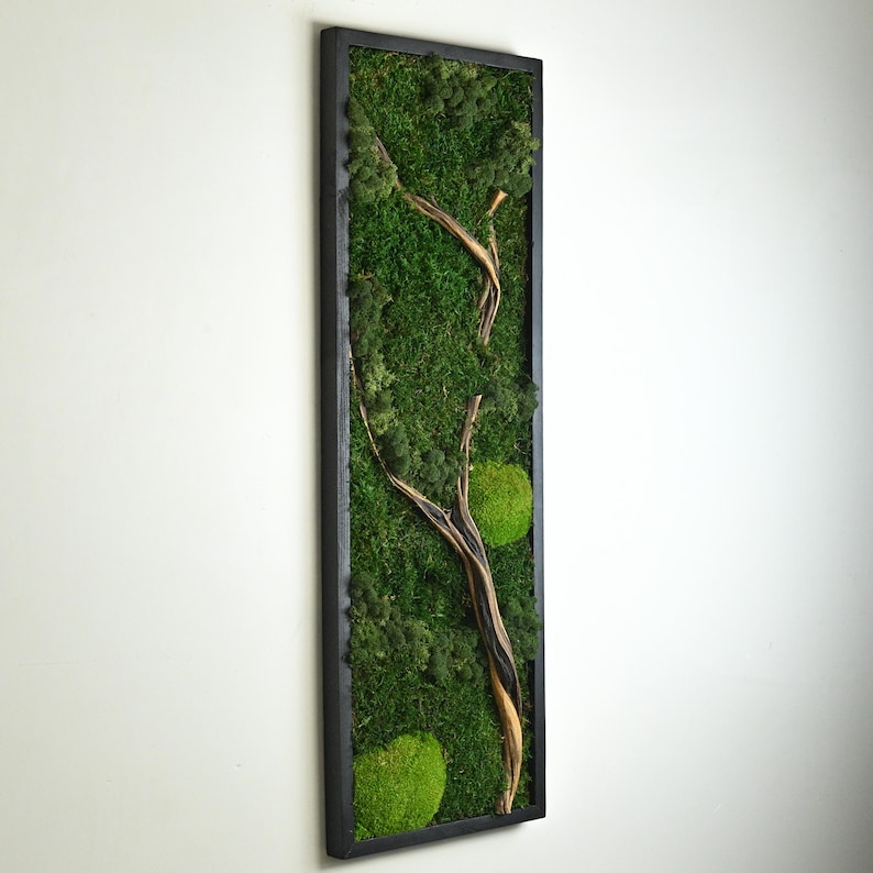 May include: A rectangular wall art piece featuring a black frame filled with preserved green moss and a central piece of twisted, light brown driftwood. The moss displays various shades of green, from deep forest tones to bright lime accents.
