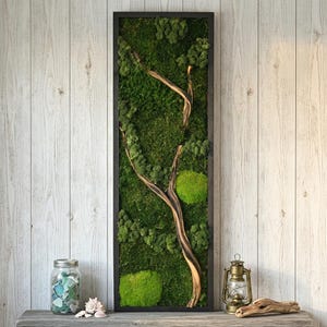 May include: A rectangular wall art piece featuring a dark frame filled with preserved green moss and a central piece of light brown driftwood. The moss displays various textures and shades of green, creating a dense, natural forest-like appearance.
