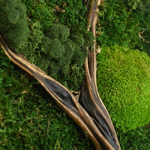 Vertical Preserved Moss And Driftwood Wall Art, Unique Apartment Decor, Gifts For Sister image 20