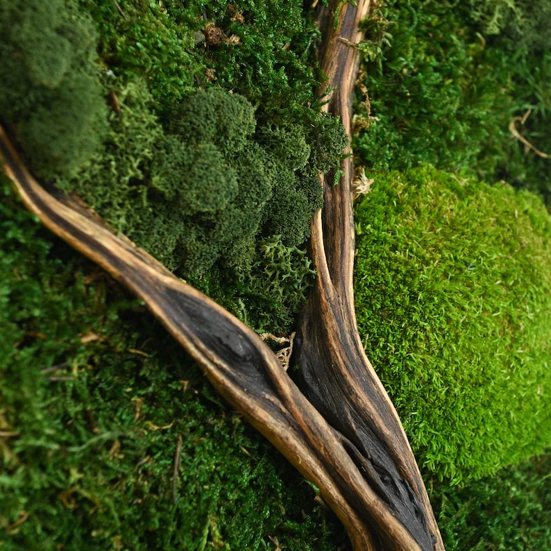 Vertical Preserved Moss And Driftwood Wall Art, Unique Apartment Decor, Gifts For Sister image 20