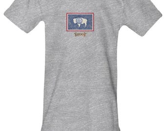 Wyoming 1890 Statehood-babyromper | 250e verjaardag Amerika | Vaderlandslievend babycadeau