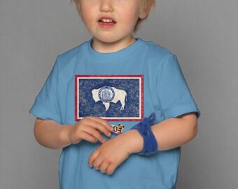 Wyoming 1890 Staatschap Shirt | Amerika 250e Jubileum T-shirt | Jeugd | Patriotisch Cadeau