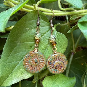 Schijfoorbellen met fossiele schelp | Tsjechische glazen hangoorbellen