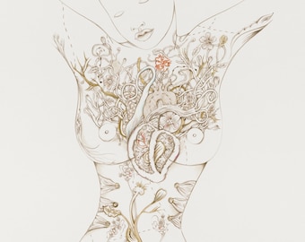 Dibujo lineal de Chandra - Dibujo botánico - Ilustración botánica - Dibujo figurativo - Dibujo de técnica mixta