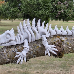 Articulated Iguana Skeleton Fidget Toy – Posable 3D Printed Lizard Desk Decor