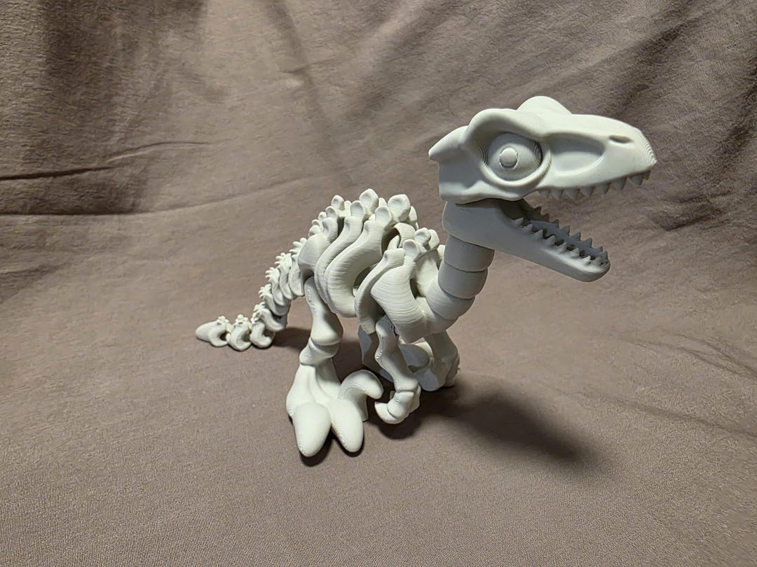Posable Raptor Articulated Raptor Skeleton – Fully Posable 3D Printed Dinosaur - Etsy
