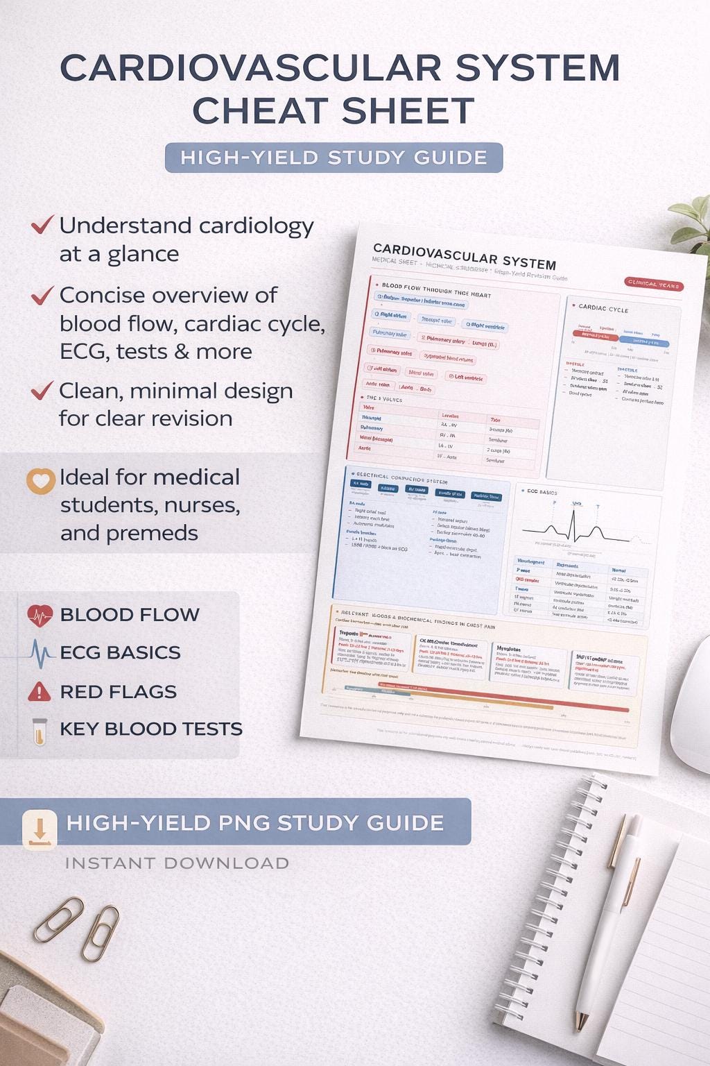 Cardiovascular System Cheat Sheet – High-yield Study Guide - Etsy