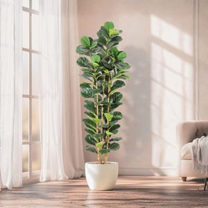 May include: A tall, artificial fiddle-leaf fig tree in a white ceramic pot. The tree has large, green leaves and a slender trunk. The pot is cylindrical and sits on a wooden floor. The background includes a window with sheer curtains and a beige armchair.