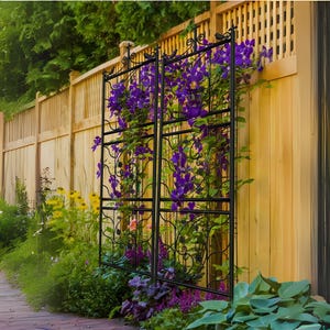 May include: Black metal garden trellis with a decorative scroll design, supporting vibrant purple flowering vines. The trellis stands in front of a wooden fence, with a variety of colorful flowers and greenery in the foreground, creating a lush garden scene.